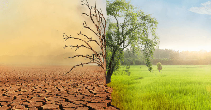 Act on Climate Change